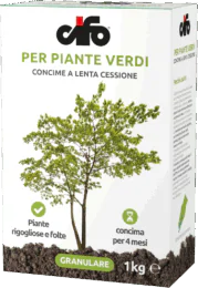 G_piante-verdi-LC G_piante-verdi-LC