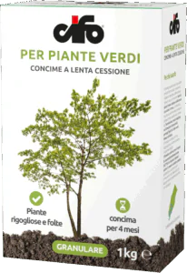 G_piante-verdi-LC G_piante-verdi-LC
