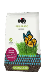 G_prato-copia-3