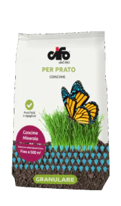 G_prato-copia-3