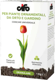 G_universale G_universale