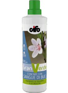 Granverde-sangue-di-bue-web-1
