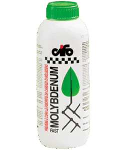 MOLYBDENUM-FAST
