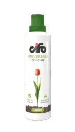 Universale-web-1