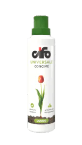 Universale-web-1