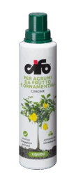 agrumi agrumi