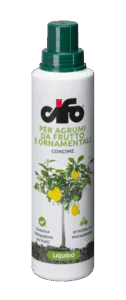 agrumi agrumi