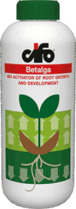 betalga-1L-en betalga-1L-en