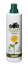 fiorite-e1497437684794