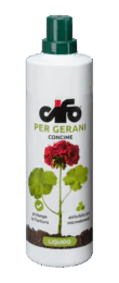 gerani gerani