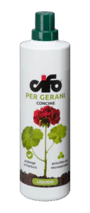 gerani gerani