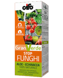 granverde-funghi-aloe