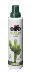 piante-grasse piante-grasse