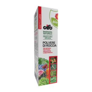 polvere-di-roccia-3