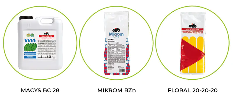 autumn-fertilization-product