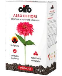 prodotto-cifo-asso-di-fiori-min