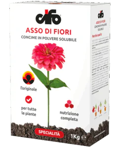 prodotto-cifo-asso-di-fiori-min