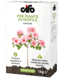 prodotto-cifo-concime-acidofile prodotto-cifo-concime-acidofile