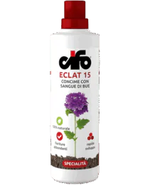 prodotto-cifo-eclat-15-min prodotto-cifo-eclat-15-min