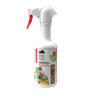propoli