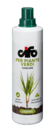 verdi-e1496932577168