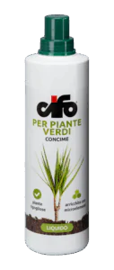verdi-e1496932577168